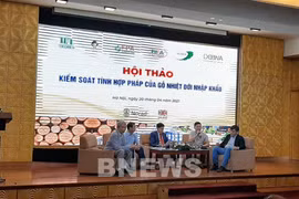 Workshop discusses control of risks in tropical timber imports