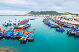 Tien Giang exerts every effort to combat IUU fishing