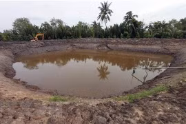 Water shortage, saline intrusion forecast to be serious this year