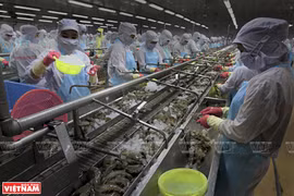 Fisheries envisaged to become a vital economic sector