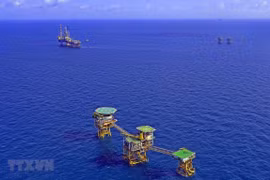 Vietsovpetro sees plenty of room to further cut cost for production optimization