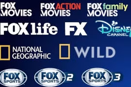 Fourteen foreign TV channels to end broadcast in Vietnam