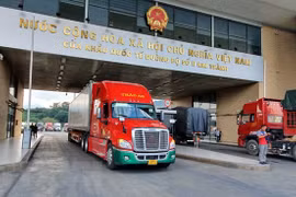 Import-export value through Lao Cai’s border gates declines due to COVID-19