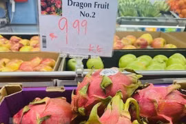 Vietnamese dragon fruit wins consumers’ favour in Australia