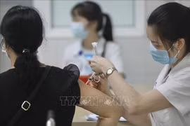 Vietnamese expats in Australia join anti-pandemic efforts at home