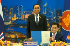 RCEP creates locomotive for regional cooperation: Experts