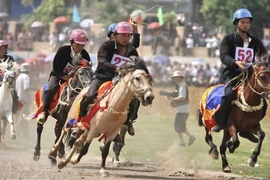 Traditional horse race recognised as national intangible heritage