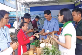 Kien Giang has 18 more star-rated OCOP products 