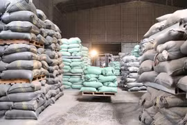 HCM City to receive 56,555 tonnes of rice from national reserve
