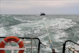 Eleven sailors in distress at sea brought ashore