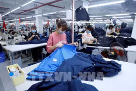 EVFTA - A catalyst for Vietnamese businesses: diplomat