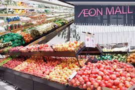 Efforts made to help Vietnamese farm produce approach foreign distribution systems
