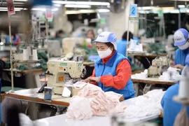 German firms in Vietnam optimistic about future prospects 