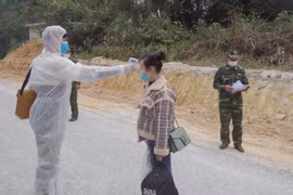 Thanh Hoa detects numerous illegal entries