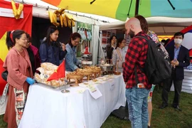 Vietnam joins Workers' Party of Belgium solidarity festival