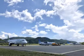 New COVID-19 outbreak puts a halt to more domestic flights