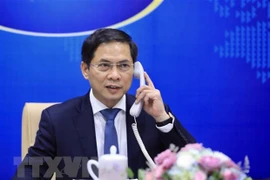 France pledges to help fast-track COVID-19 vaccine supplies to Vietnam via COVAX