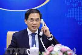 France pledges to help fast-track COVID-19 vaccine supplies to Vietnam via COVAX