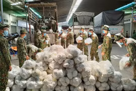 Soldiers will be sent to support Binh Duong with COVID-19 prevention