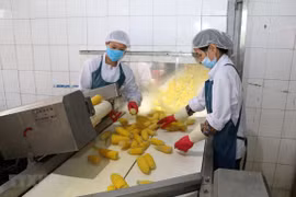 Agriculture export value up 20 percent in Q1