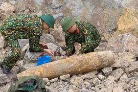 Quang Binh safely removes wartime bomb 