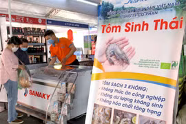 Exporters, hit by pandemic, turn to domestic market