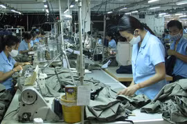 Oxfam, foreign embassies support pandemic-hit migrant workers in HCM City