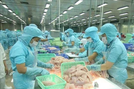 Rosy prospect for agro-forestry-fishery exports to exceed 47 billion USD in 2021