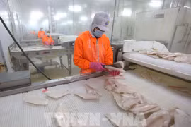 Over 84 percent of production firms in Can Tho resume operations
