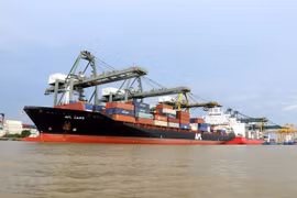 Container goods via seaports up 22 percent in H1 