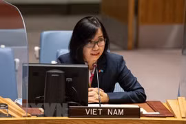 Vietnam calls for eradication of barriers, discrimination against widows