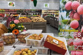 Vietnam’s farm produce exports to Australia post good growth