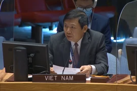 Vietnam calls on int’t community to maintain humanitarian assistance for Syria