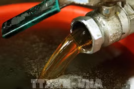 Honey exports face US anti-dumping probe