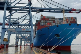 Ba Ria-Vung Tau: Container cargo through ports rise by 38 percent in 5 months