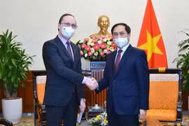 Vietnam treasures comprehensive strategic partnership with Russia: FM