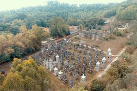 Centuries-old Bo Da pagoda stuns pilgrims