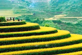 11th International Photo Contest in Vietnam launched