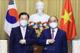 RoK calls for global solidarity in COVID-19 fight in FM meeting with ASEAN