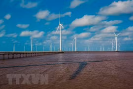 Hapaco eyes investment in 4-trillion-VND wind power project