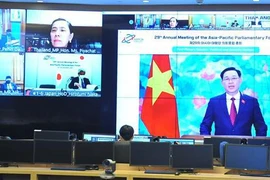 Vietnam attends second session of APPF-29
