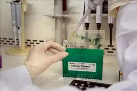 Germany presents more rapid test kits to Vietnam