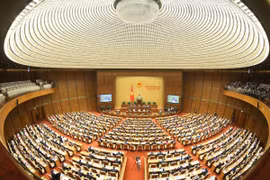 Vietnam’s national elections highlighted in German newspaper