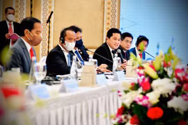 Indonesia obtains 44.6 billion USD of investment commitments from UAE