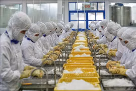 Malaysia’s Bernama hails Vietnam’s efforts amid pandemic