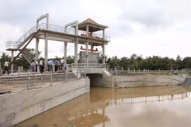 Saltwater intrusion to affect crops in Mekong Delta, farmers take preventive measures