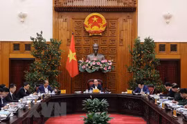 Cabinet members discuss urban administration models in HCM City, Da Nang