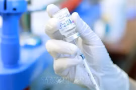 Vietnam to receive COVID-19 vaccines from UK, Czech Republic