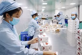 Hanoi’s COVID-19-free zones strive to bolster production