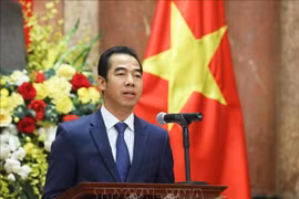 Vietnamese localities work hard on economic diplomacy
